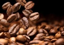 7 Best Medium Roast Espresso Beans | Reviews in 2024